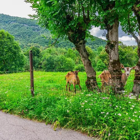 公寓 Nel Di Rovenza By Wonderful Italy