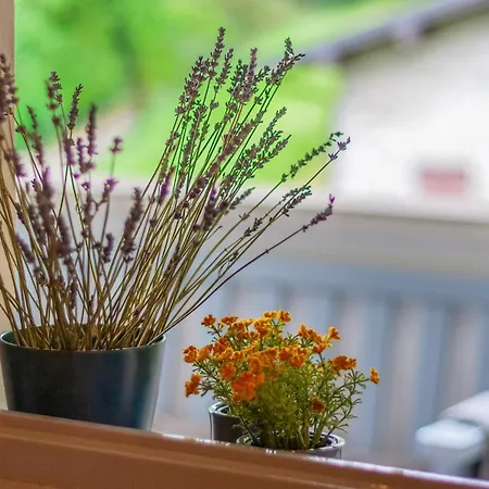 Nel Di Rovenza By Wonderful Italy Appartement *