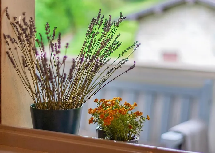 Nel Di Rovenza By Wonderful Italy Apartmán *