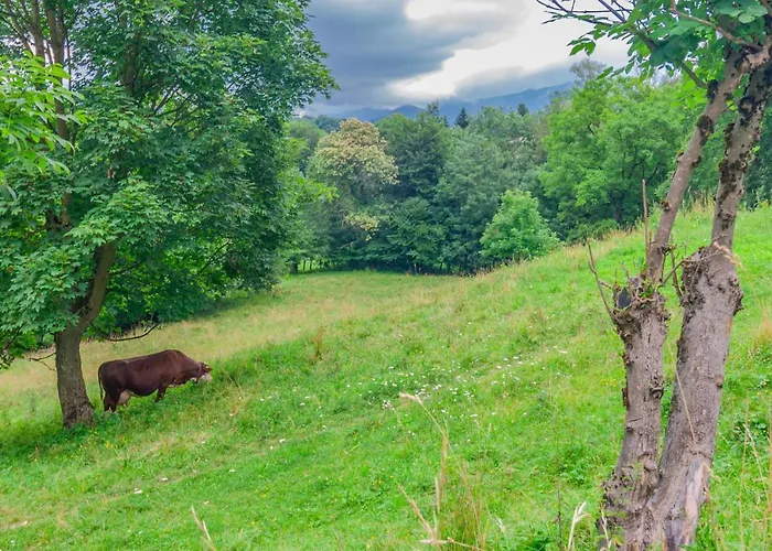Apartmán Nel Di Rovenza By Wonderful Italy *