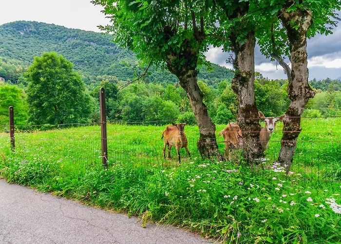 Apartmán Nel Di Rovenza By Wonderful Italy